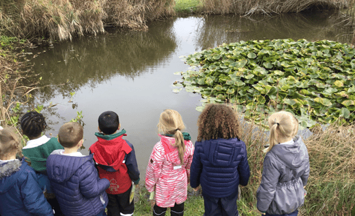 ÉCOLES & ÉLÈVES SOUTIENNENT LE JOUR DE LA TERRE 2020